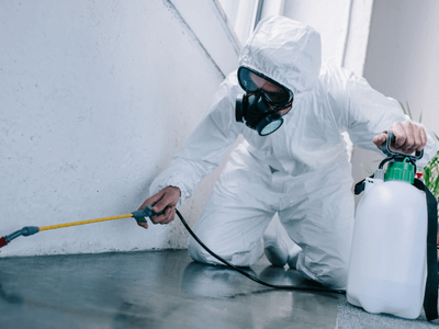About Spider Extermination Arizona - spider extermination experts in Roosevelt Row Arts District